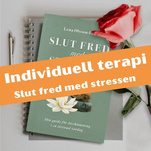 Slut fred med stressen individuell terapi