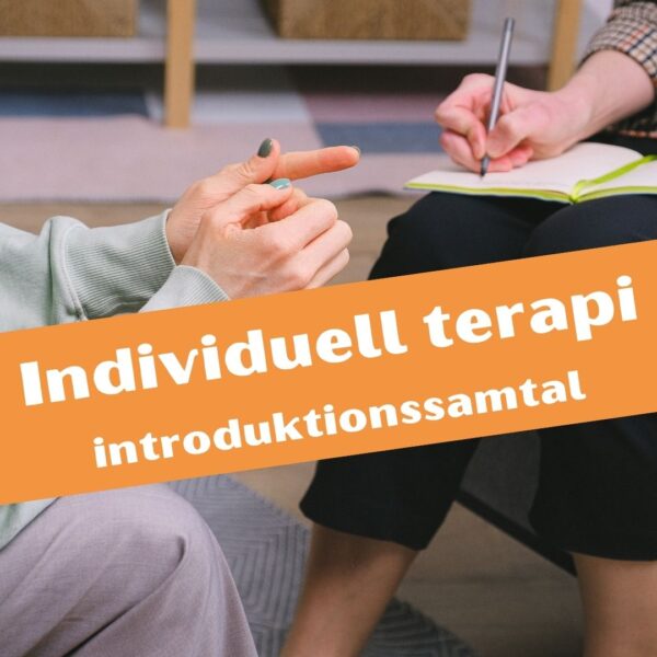 Individuell terapi introduktionssamtal